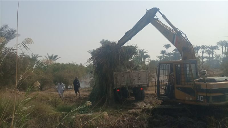 أعمال تطهير الترع