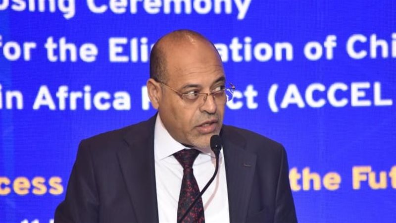 محمد جبران وزير العمل،فيتو
