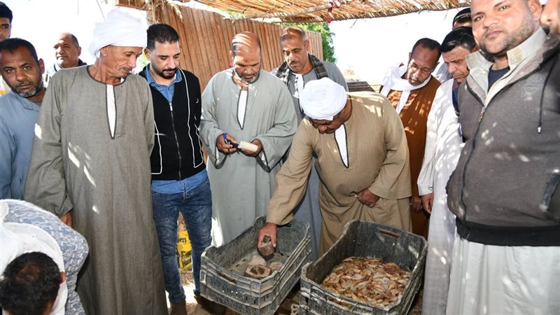 مزاد الأسماك بالفيوم،