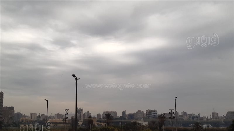 حالة الطقس غدا، فيتو