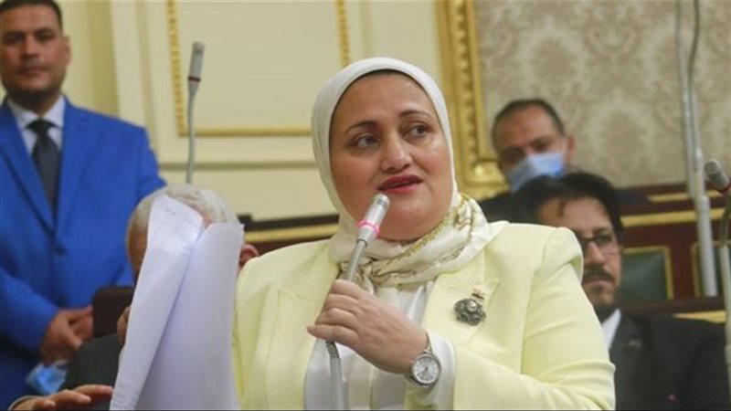 النائبة سناء السعيد،