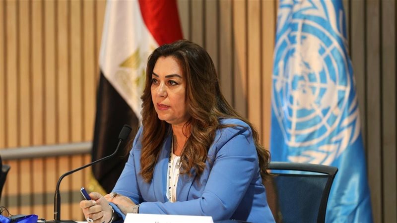 منال عوض، فيتو