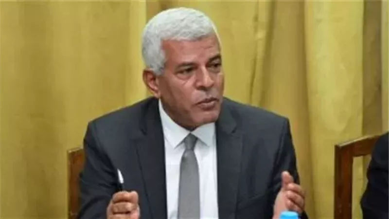 الدكتور سيد خليفة،
