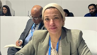  3 مشروعات بيئية واعدة دعمت الاقتصاد الأخضر خلال العام الحالي