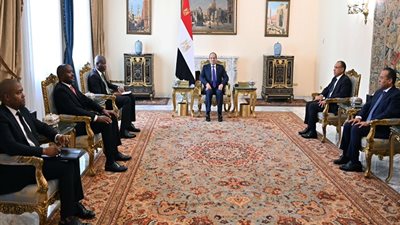 تعزيز الأمن ووقف إطلاق النار في المنطقة تتصدران مباحثات السيسي ووزير التعاون الجنوب أفريقي