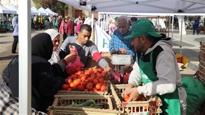 إقبال المواطنين على سوق المزارعين في الإسكندرية لشراء الخضراوات (صور)