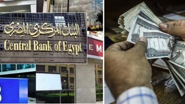 فيتو| السر في التعقيم، خبير اقتصادي يكشف أسباب سحب المركزي 1.37 تريليون جنيه من البنوك 