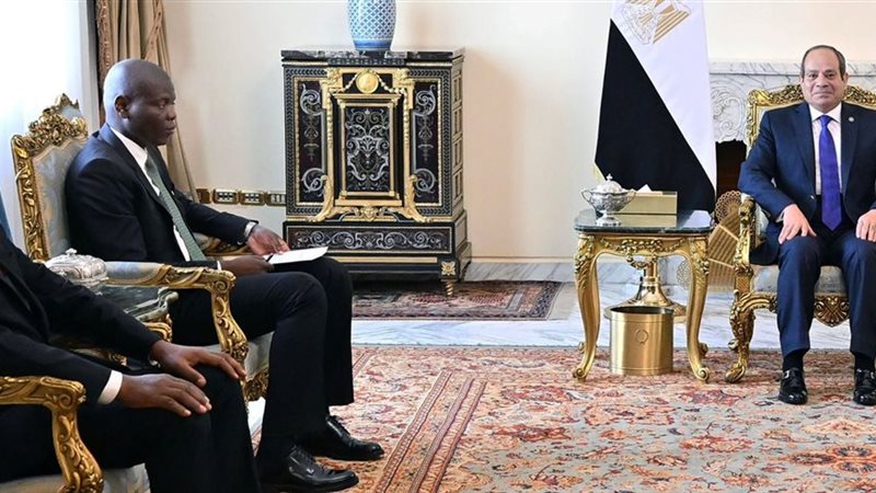الرئيس عبد الفتاح