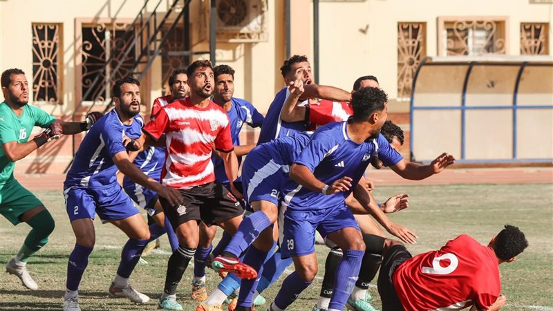 دوري المحترفين 