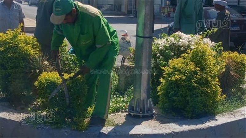 أثناء التشجير 