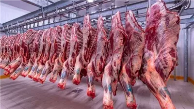 البتلو يتراجع 24.5 جنيه، ننشر أسعار اللحوم في الأسواق