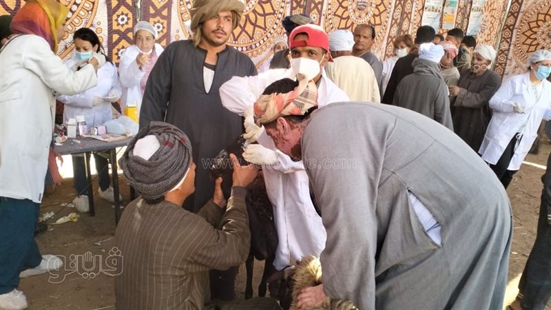 أثناء الحملة 