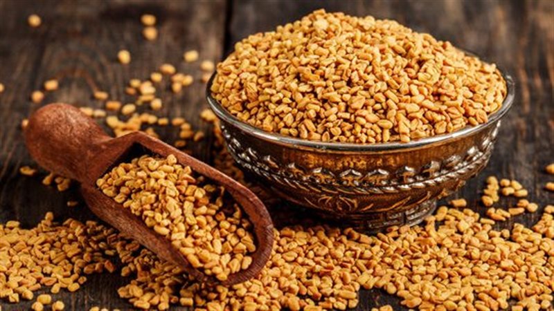 فوائد الحلبة للجسم