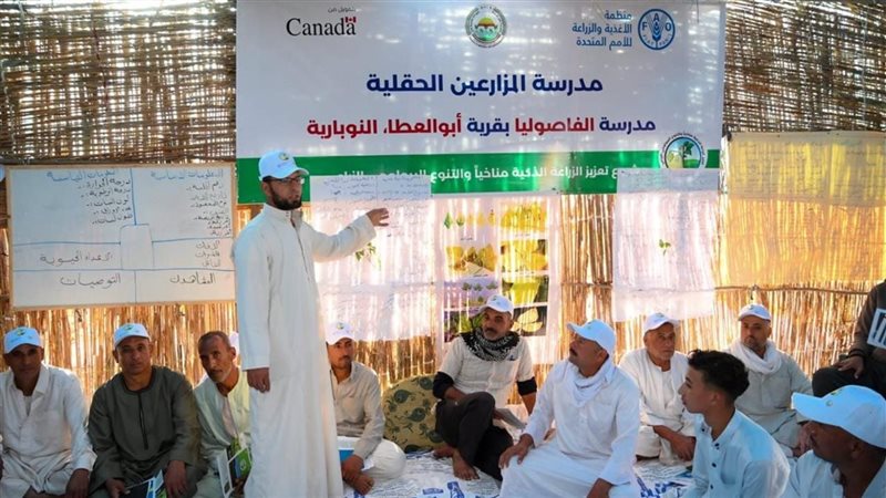الزراعة الذكية 