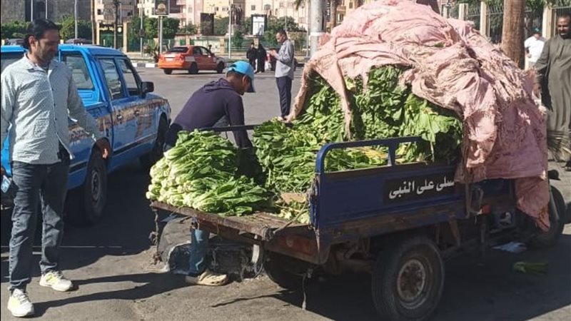 جانب من الحملات،