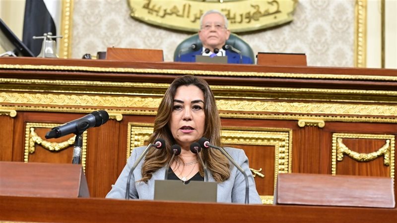 وزيرة التنمية المحلية
