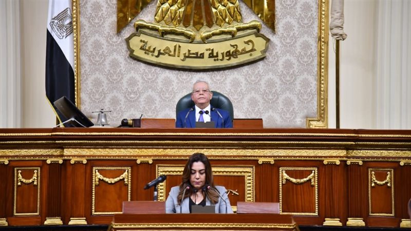 وزيرة التنمية المحلية