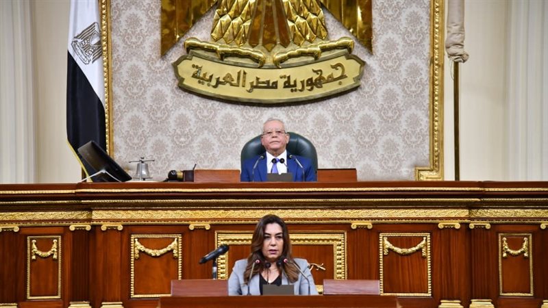 وزيرة التنمية المحلية