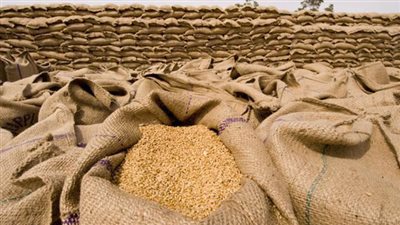 txt