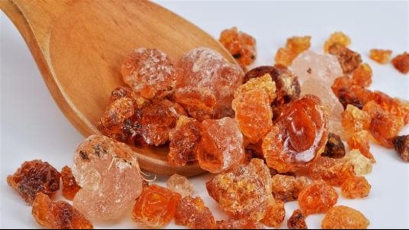 فوائد لبان الدكر،