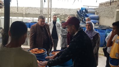 ضبط 30 طن مخلل فاسد في الدقهلية