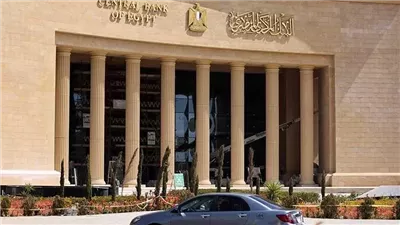 بعد إطلاق الخدمة رسميًا، كيفية تحويل الأموال لحظيًا من جميع أنحاء العالم لمصر (فيديو)