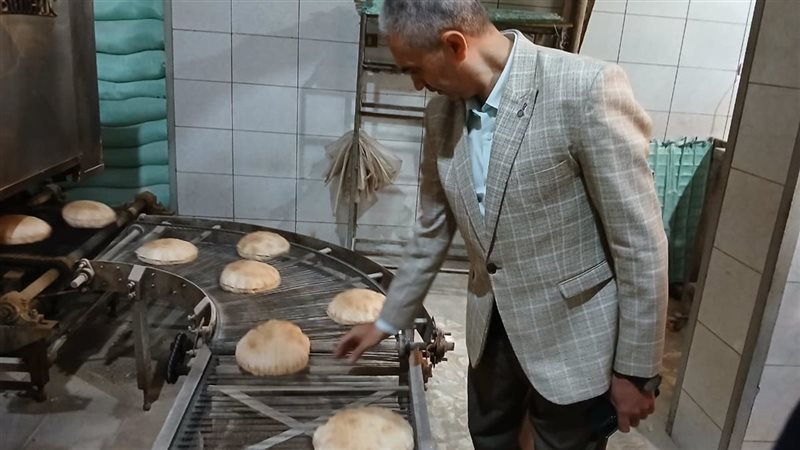 تموين الإسكندرية