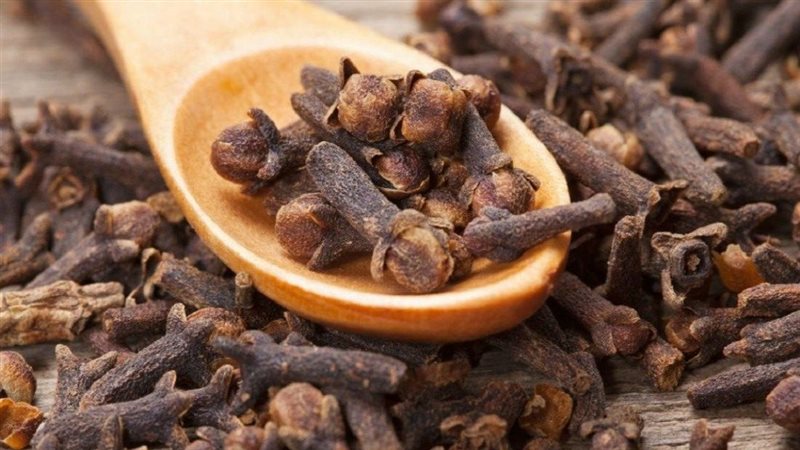 القرنفل 