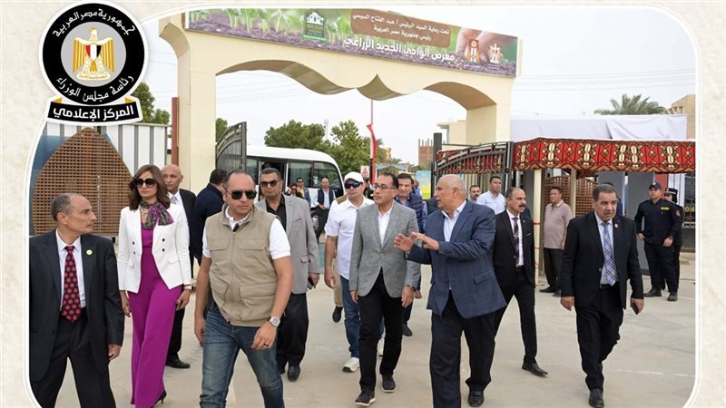 مجلس الوزراء، فيتو
