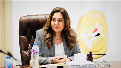 التنمية المحلية: الانتهاء من برنامج التنمية المحلية بصعيد مصر
