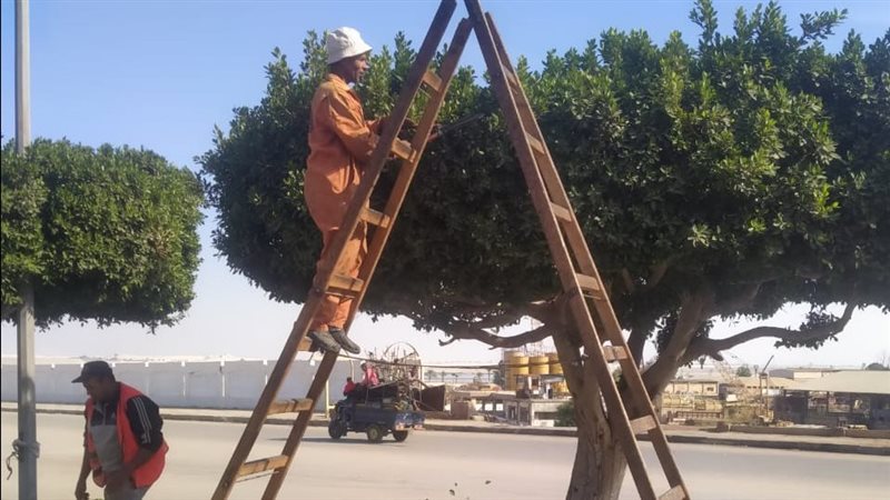 جانب من أعمال الصيانة،فيتو