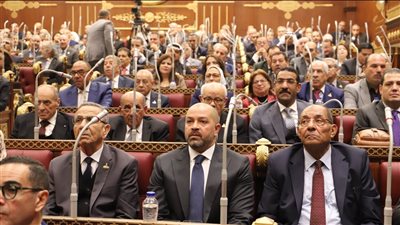 في غير حالة التلبس، كل ما تريد معرفته عن الحصانة البرلمانية 