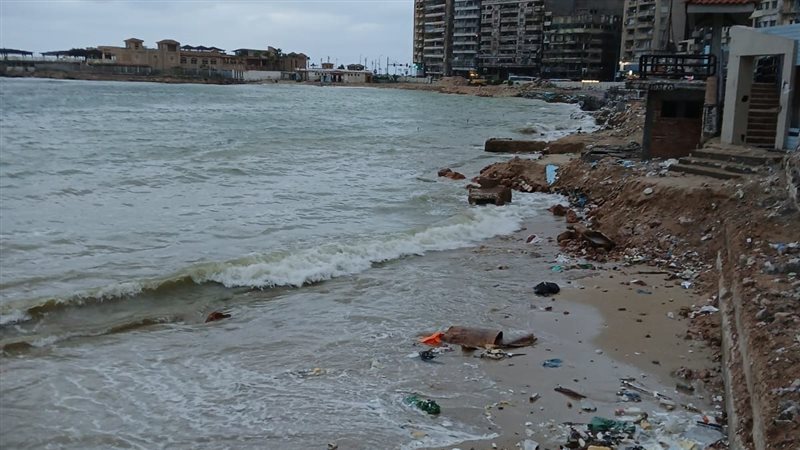 الإسكندرية 