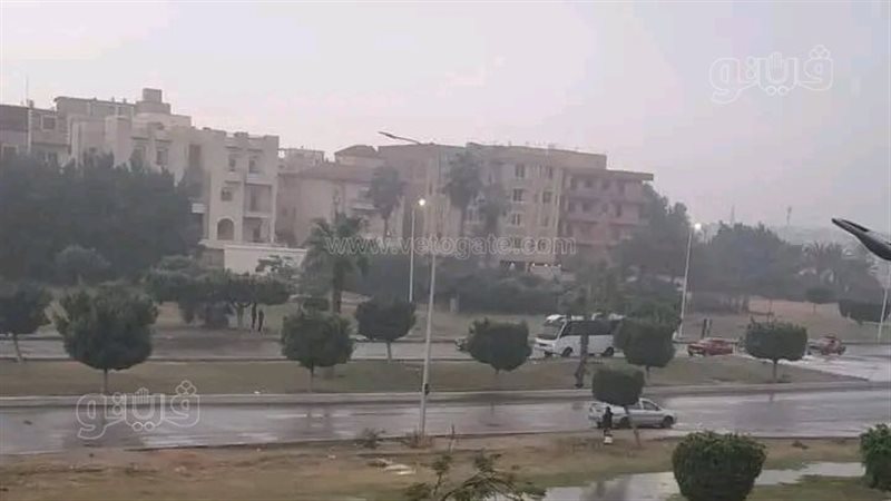 حالة الطقس غدا، فيتو