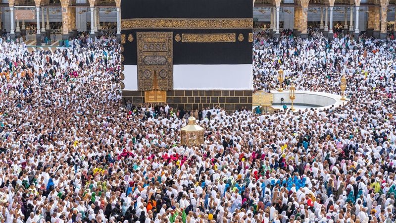 محافظ الغربية يعلن