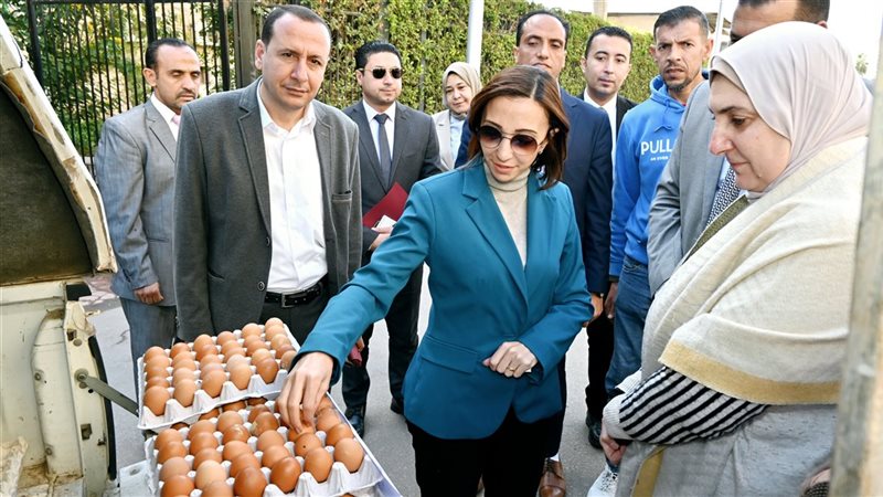 سيارة البيض بالبحيرة