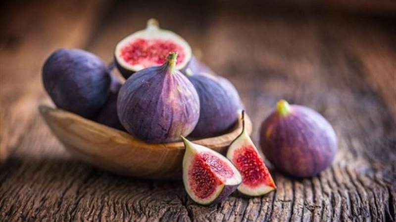 تفسير رؤية التين