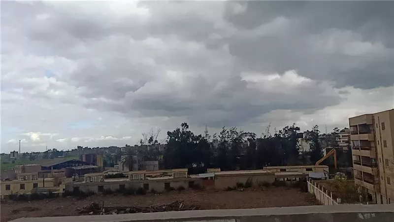 حالة الطقس، فيتو