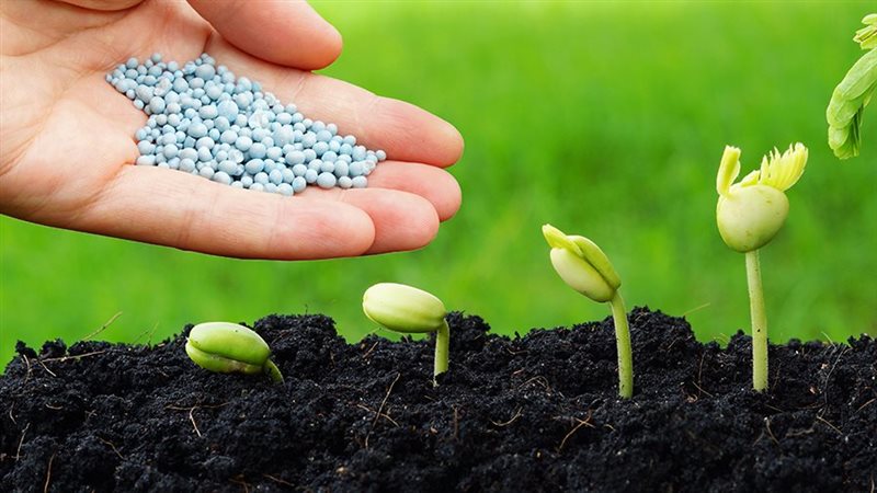 أسعار الأسمدة اليوم