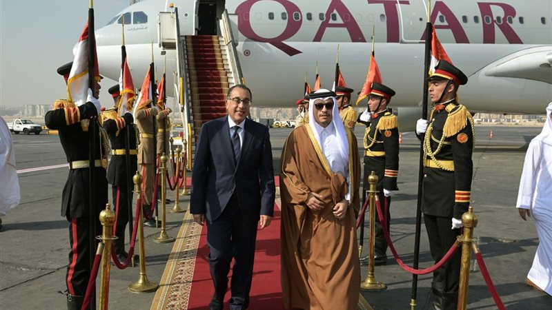رئيس الوزراء يستقبل