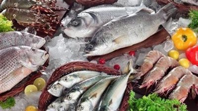  أسعار السمك اليوم، انخفاض البلطي والجمبري في سوق العبور