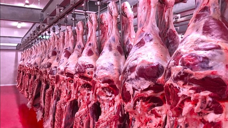أسعار اللحوم اليوم
