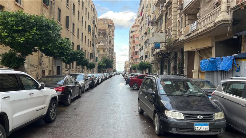الإسكندرية 