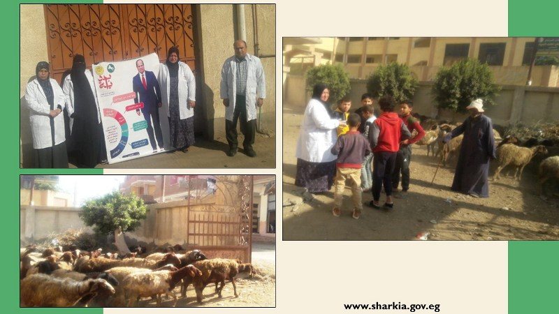 بيطري الشرقية تنظم