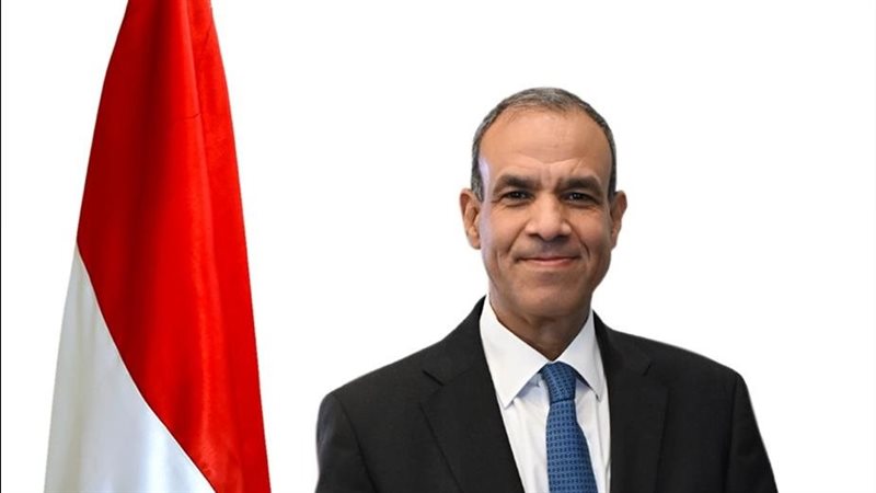 بدر عبد العاطي وزير