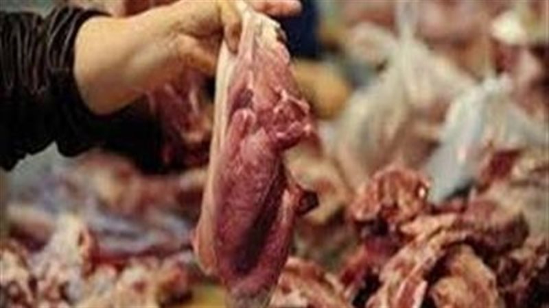 ضبط لحوم ودواجن وأسماك