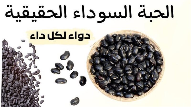 فوائد حبة البركة