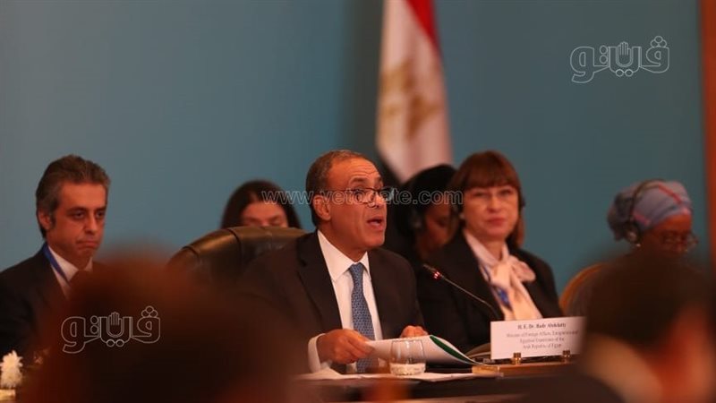 بدر عبد العاطى وزير