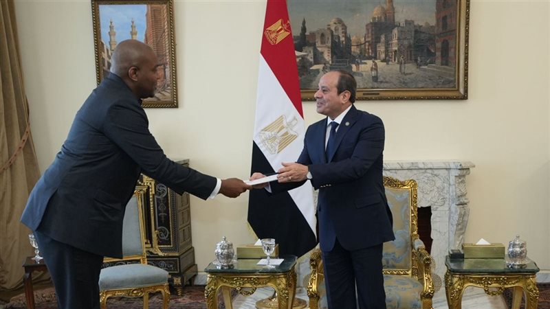 الرئيس عبد الفتاح