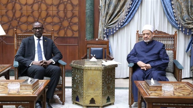 شيخ الأزهر ووزير